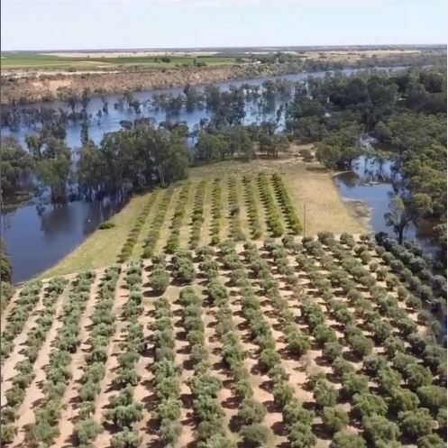 Aerial view of Toolunka Estate during river floods
