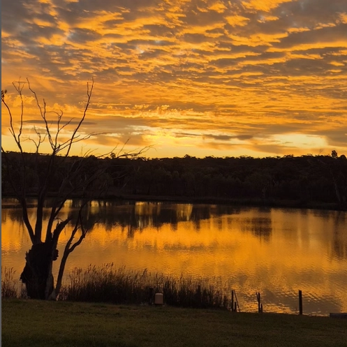 Sunset at Toolunka Estate